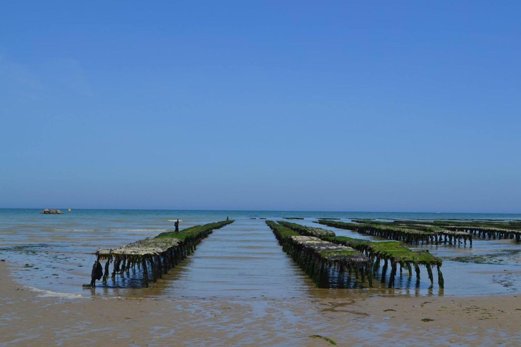 Nid De Pie Grand Duplex Lumineux Cadre Verdoyant Calme A 5 Mn De La Mer Pres Port En Bessin, Bayeux, Omaha Beach, Commes Экстерьер фото